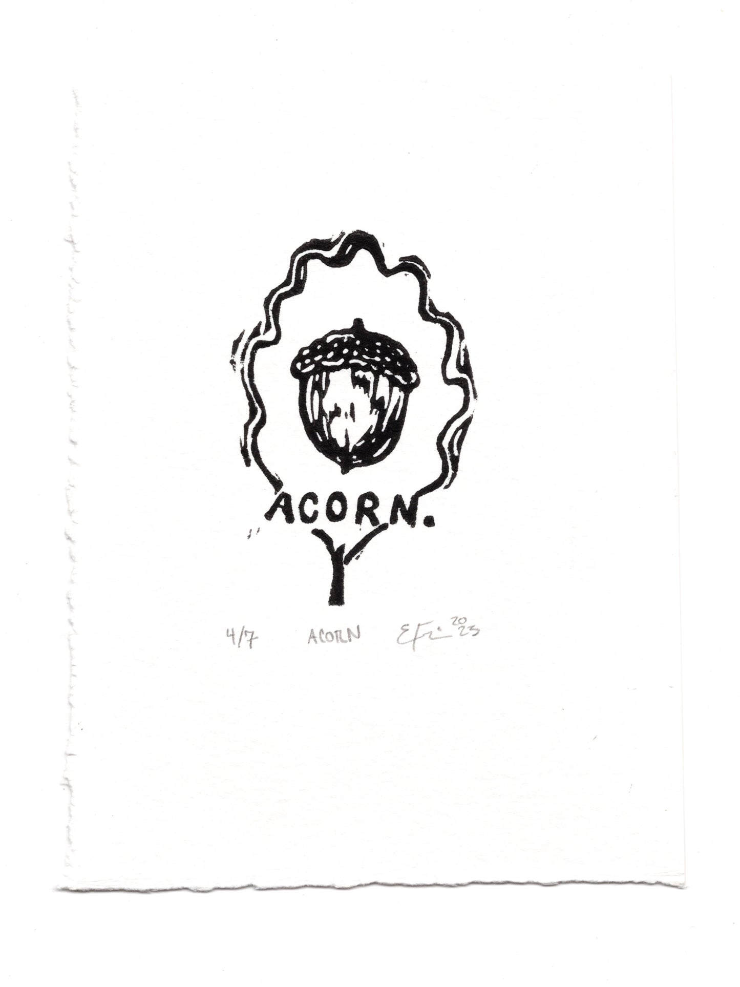 Acorn.  Linocut Print