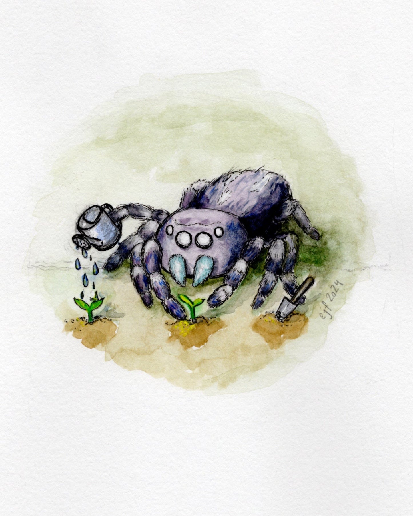 Gardening Spider