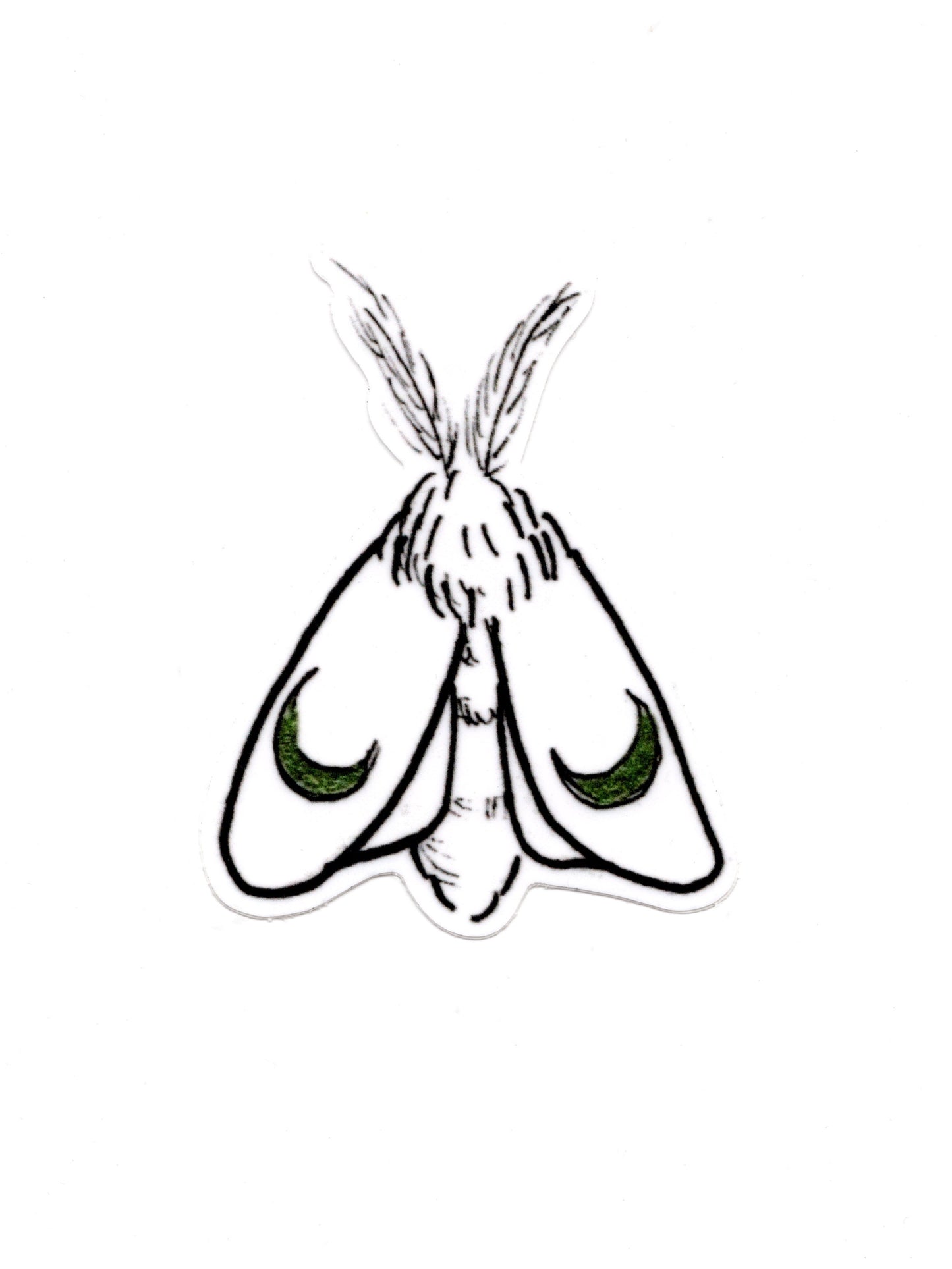 Moon Moth Sticker