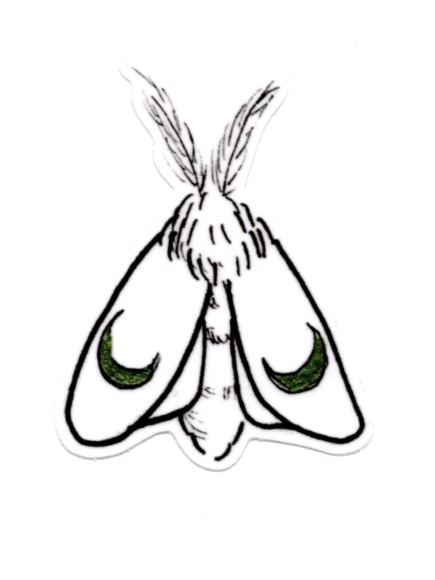 Moon Moth Sticker
